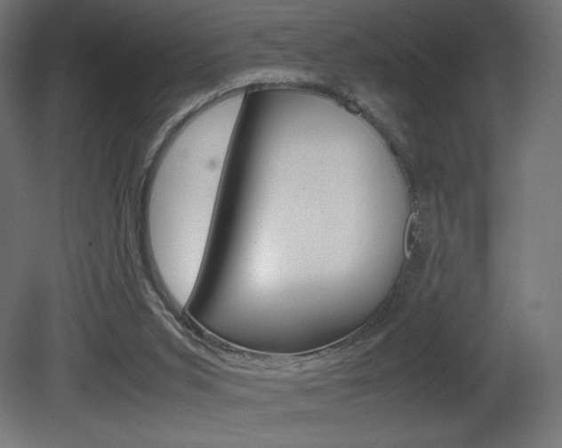 X0000081450015200701121027