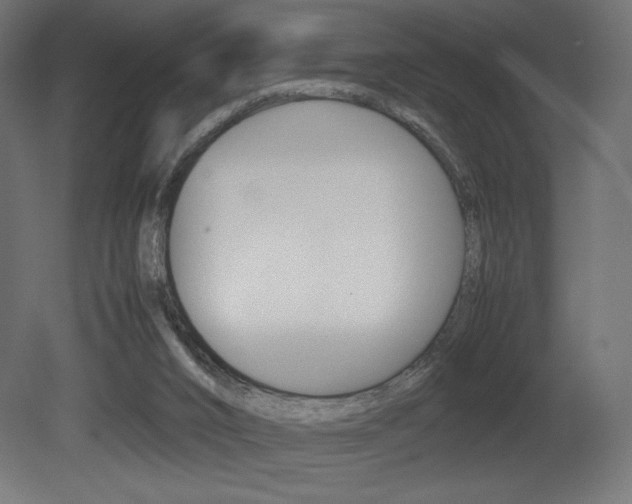 X0000081450016200701121027