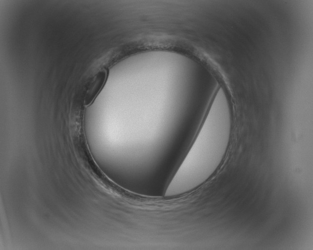 X0000081450017200701121027