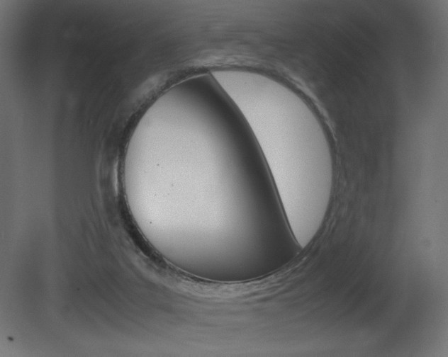X0000081450019200701121027