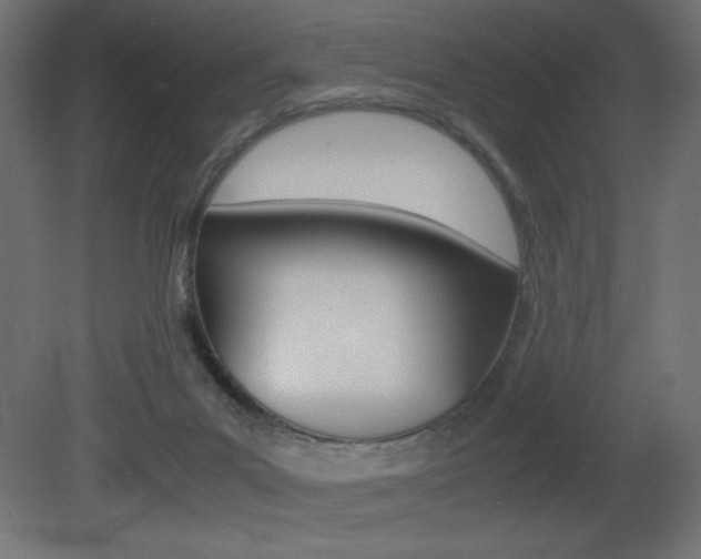 X0000081450023200701121027