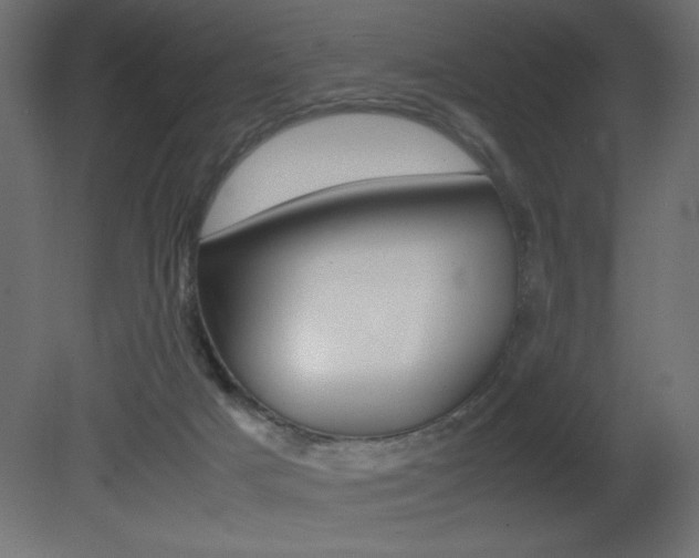 X0000081450025200701121027