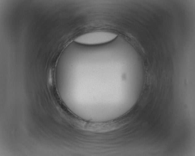 X0000081450026200701121026