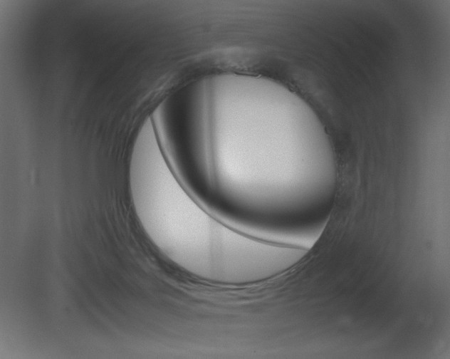 X0000081450027200701121026