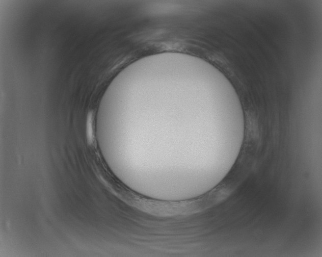 X0000081450028200701121026