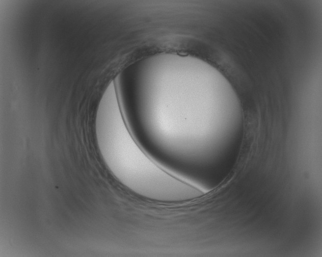 X0000081450029200701121026