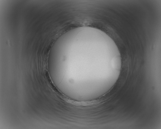 X0000081450030200701121026