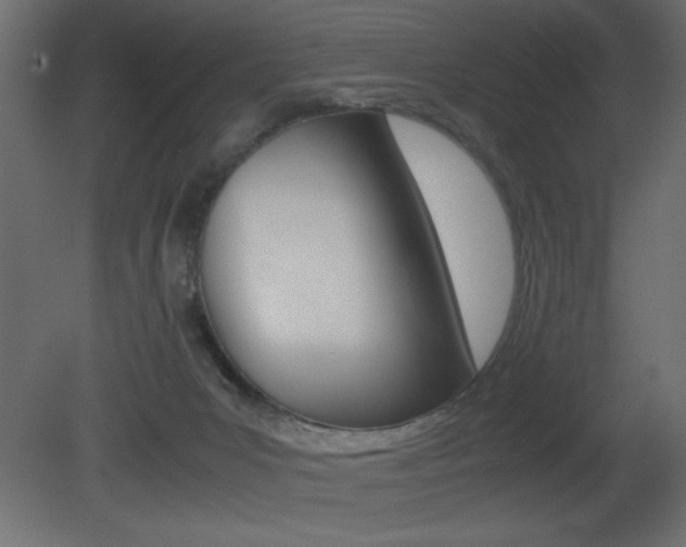 X0000081450031200701121026