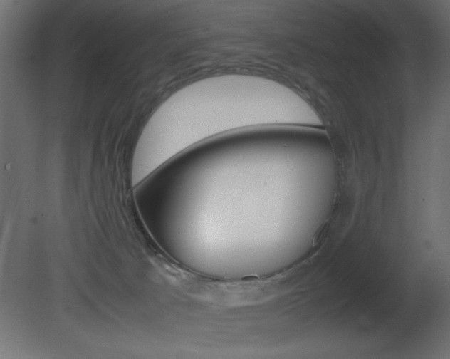 X0000081450033200701121026