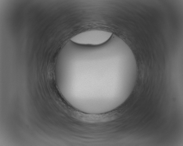 X0000081450034200701121026