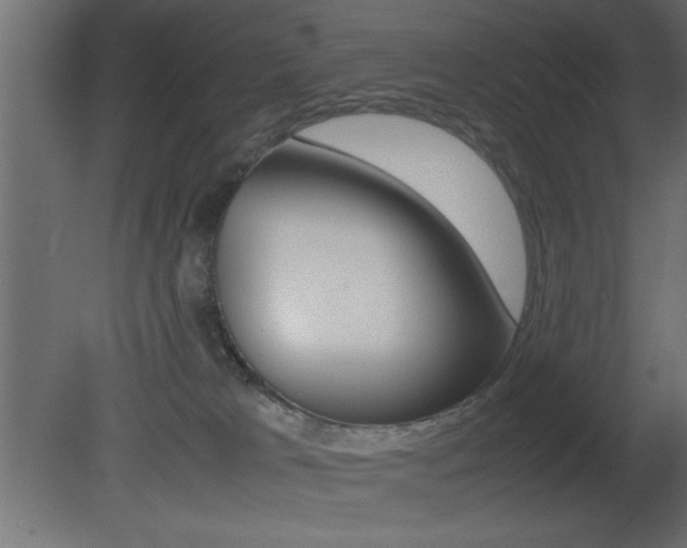 X0000081450037200701121026