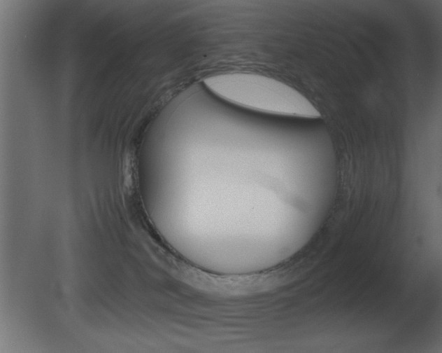 X0000081450038200701121026