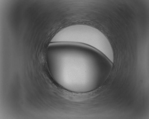 X0000081450039200701121026