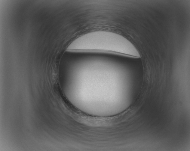 X0000081450040200701121026