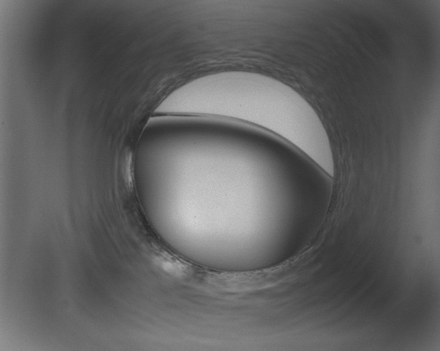 X0000081450041200701121026