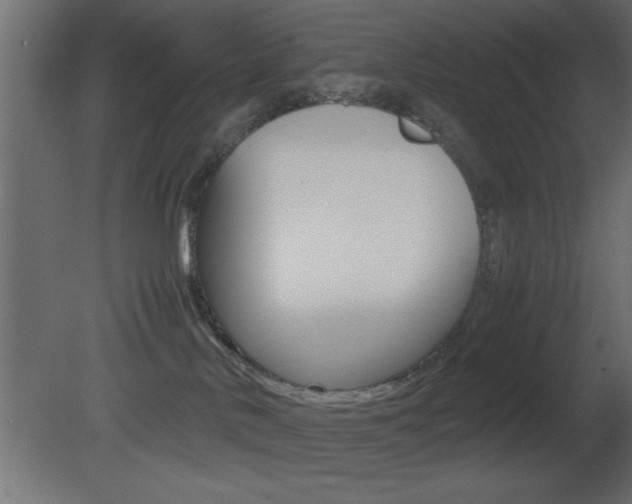 X0000081450042200701121026