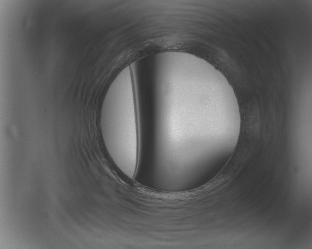 X0000081450044200701121026