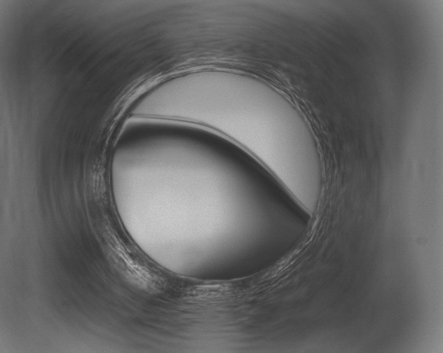 X0000081450050200701121025
