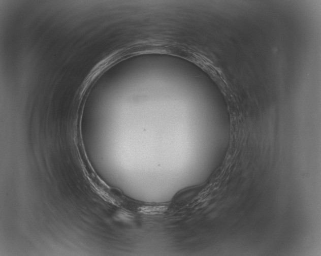X0000081450051200701121025