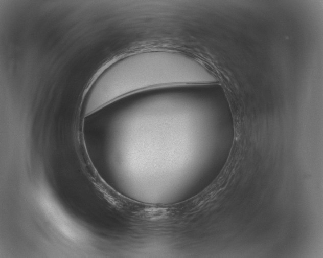 X0000081450052200701121025