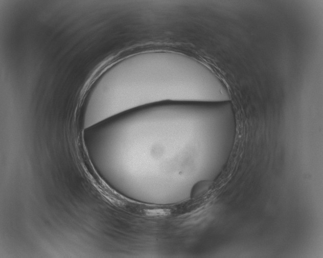X0000081450053200701121025
