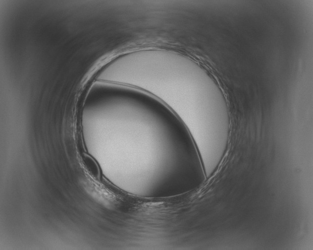 X0000081450054200701121025