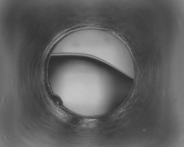 X0000081450055200701121025