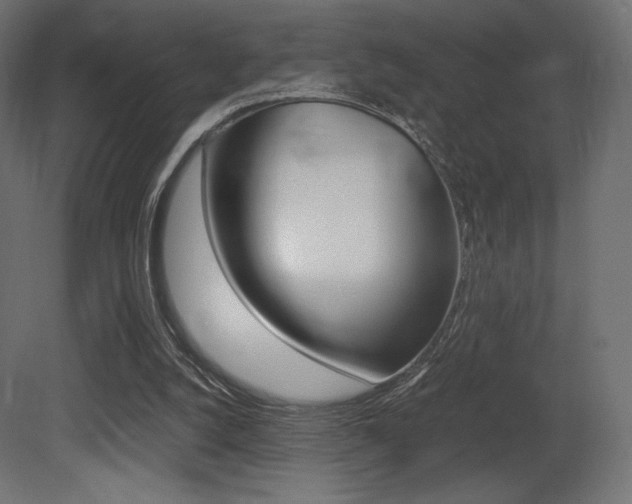 X0000081450056200701121025