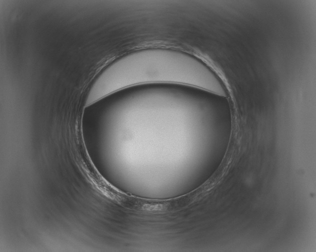 X0000081450057200701121025