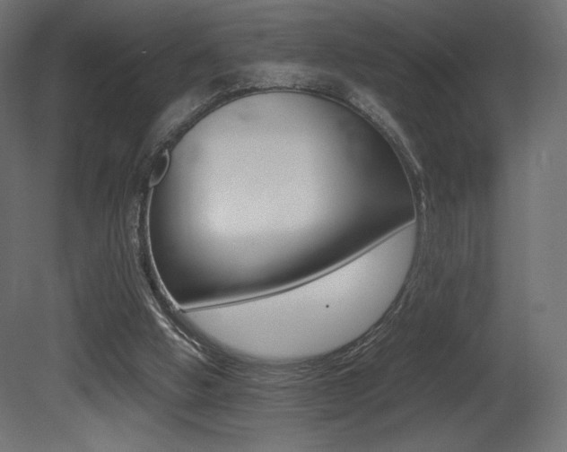 X0000081450058200701121025