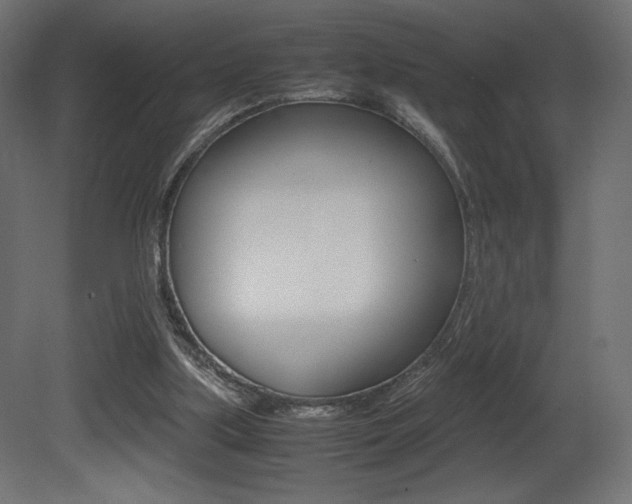 X0000081450059200701121025