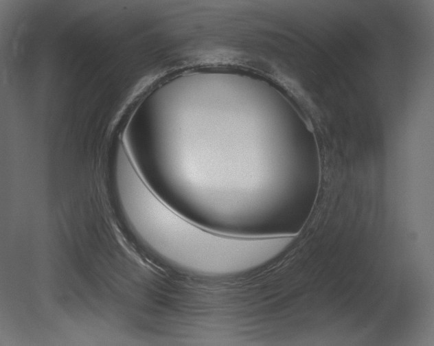 X0000081450060200701121025