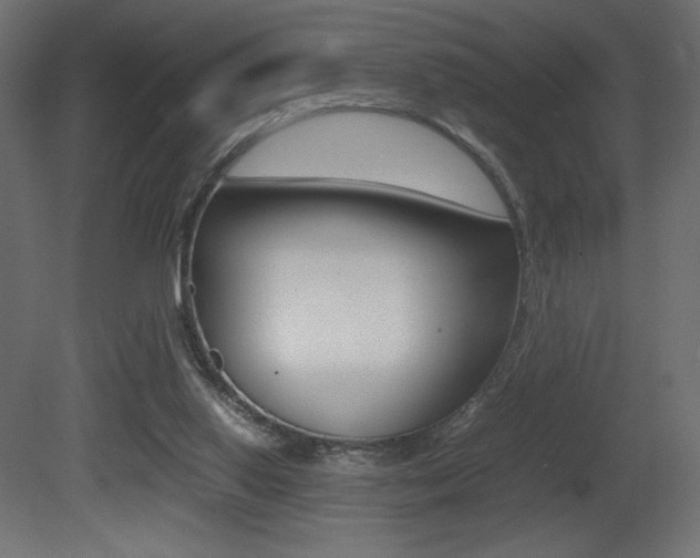 X0000081450062200701121026