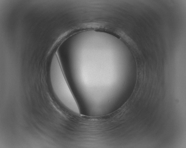X0000081450064200701121026
