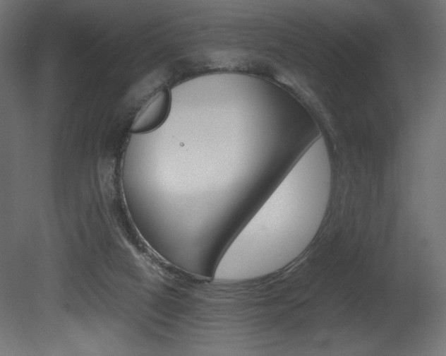 X0000081450066200701121026