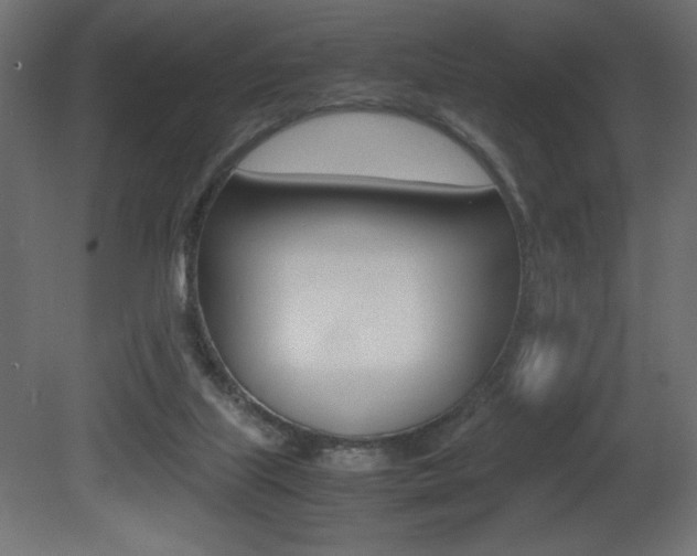X0000081450067200701121026