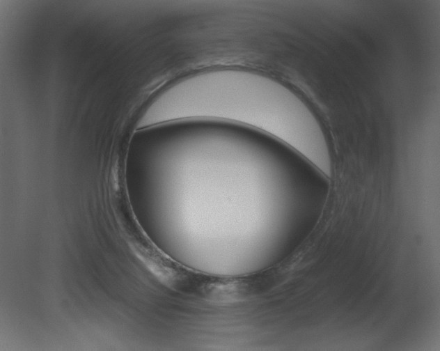 X0000081450068200701121026