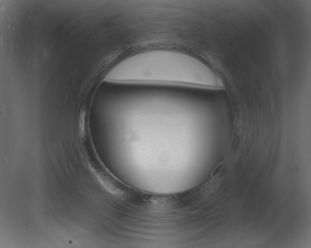 X0000081450070200701121026