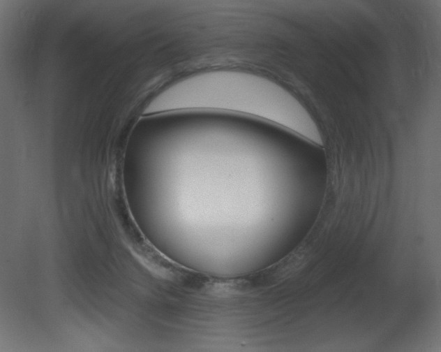 X0000081450072200701121026