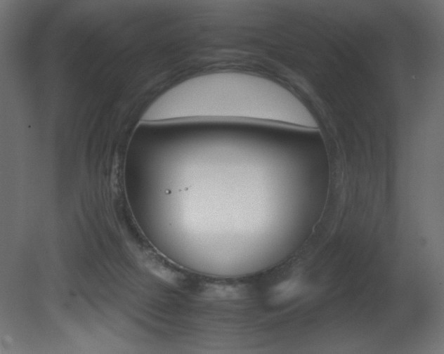 X0000081450073200701121026