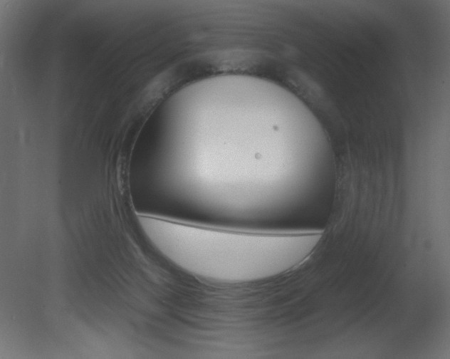 X0000081450074200701121026