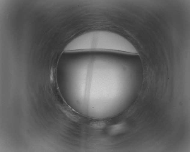 X0000081450075200701121026