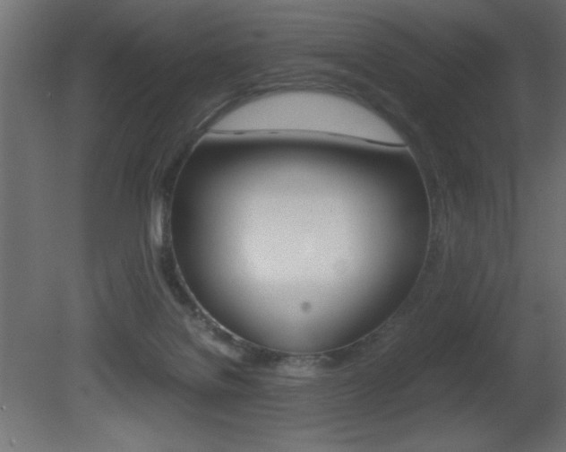 X0000081450076200701121026