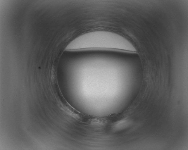 X0000081450077200701121026