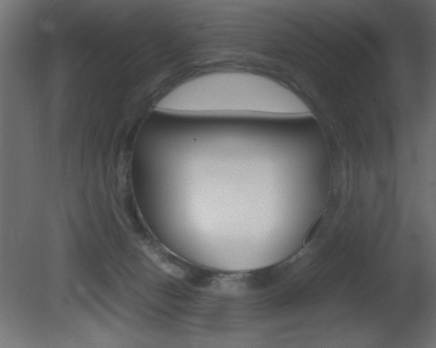 X0000081450078200701121026