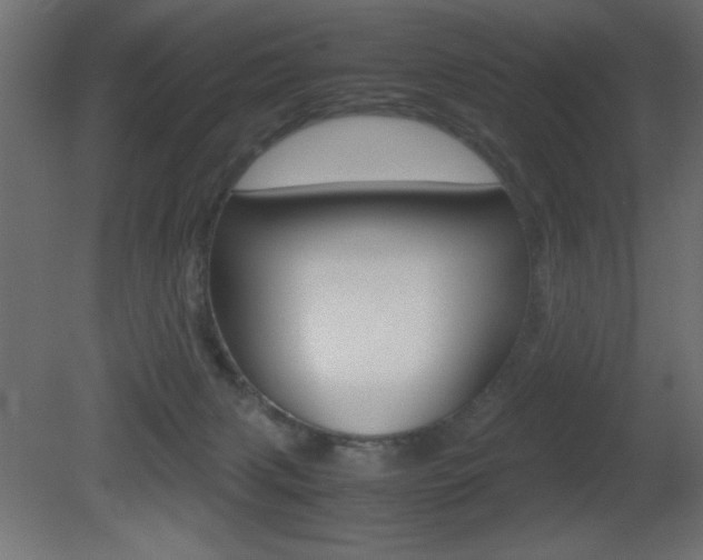 X0000081450079200701121026