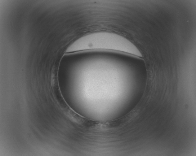 X0000081450080200701121026