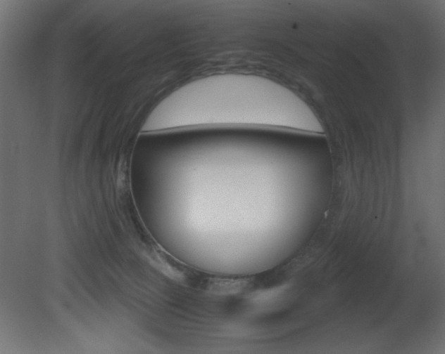 X0000081450081200701121026