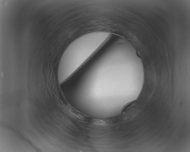 X0000081450083200701121026