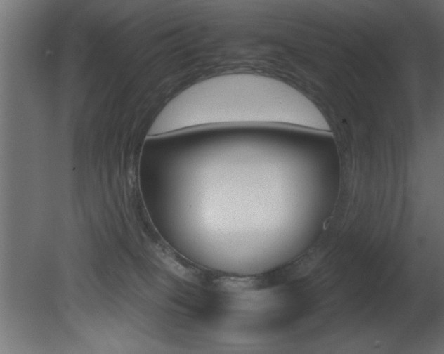 X0000081450085200701121026